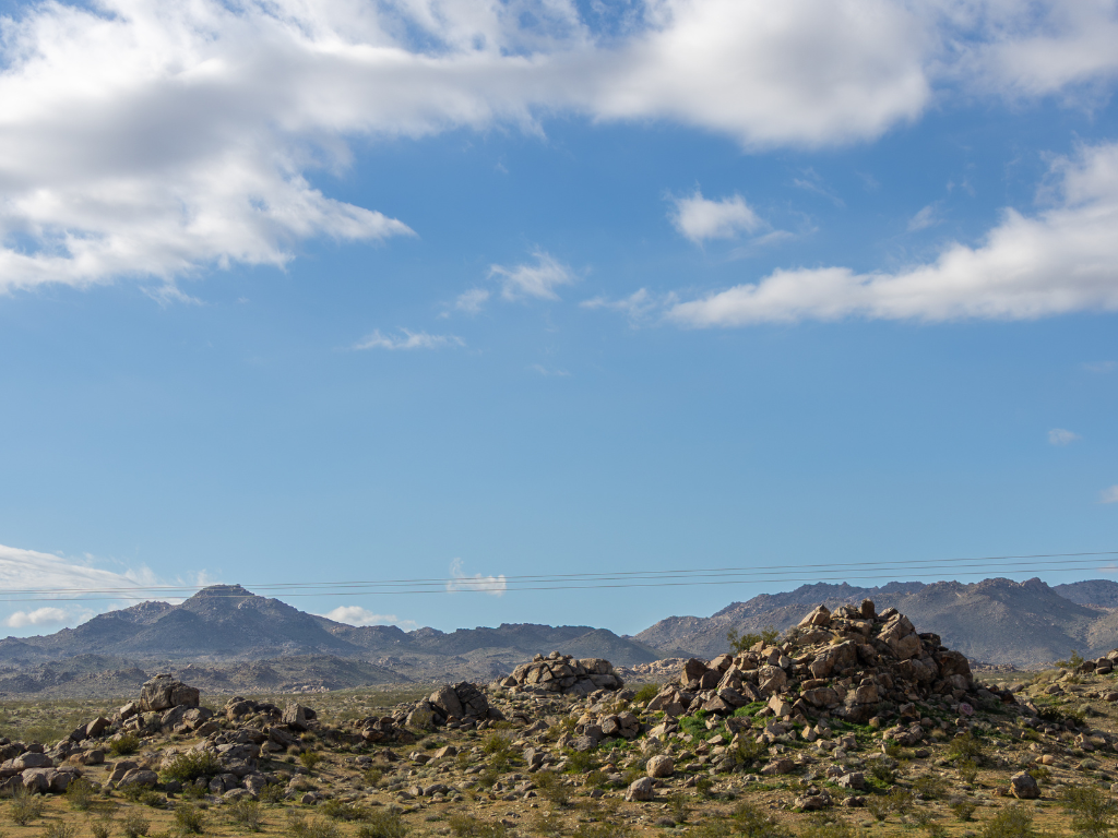 photography in palm desert